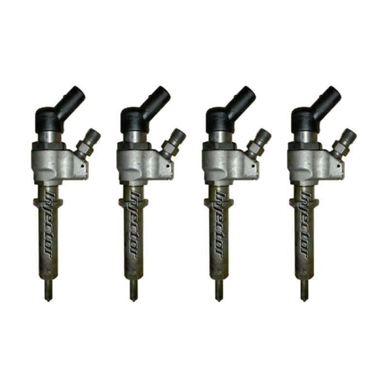 Peugeot Partner 2.0 HDi 4x4 66 KW 90 HP VDO 1980F0 1980-87 1980-FO 198087 kit di 4 iniettori usati